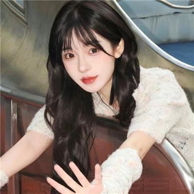 小乌龟福兰克林
